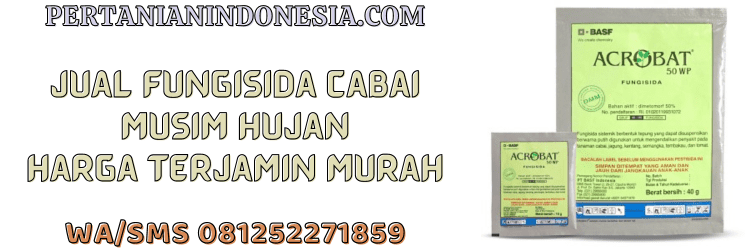 jual,murah,terdekat,toko pertanian terdekat,pertanian indonesia,penyakit,jamur,cendawan